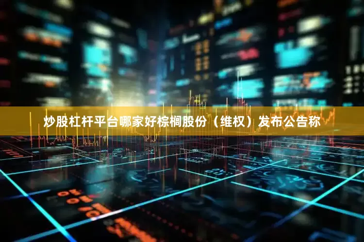 炒股杠杆平台哪家好棕榈股份（维权）发布公告称