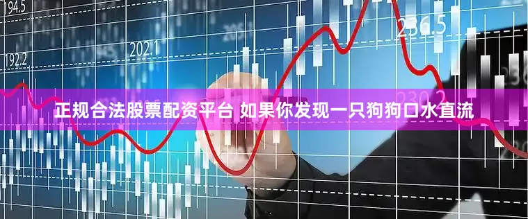 正规合法股票配资平台 如果你发现一只狗狗口水直流