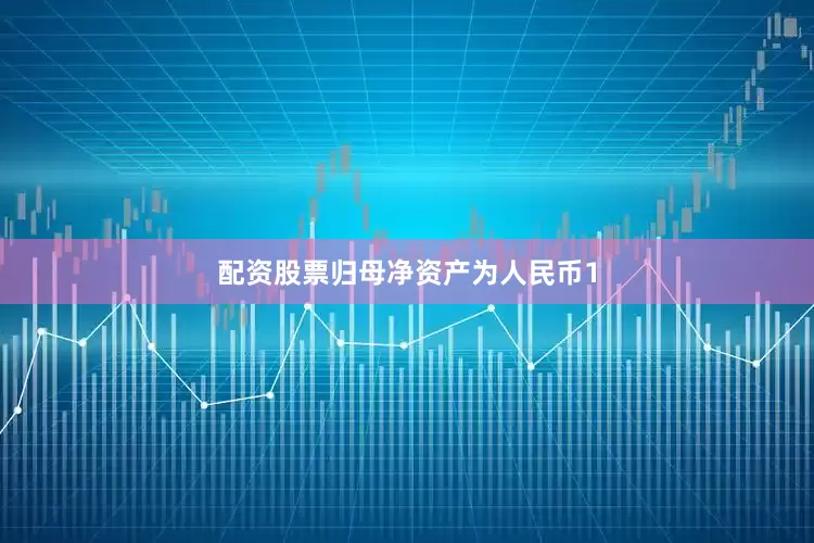 配资股票归母净资产为人民币1