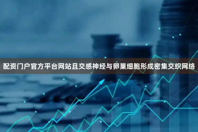配资门户官方平台网站且交感神经与卵巢细胞形成密集交织网络